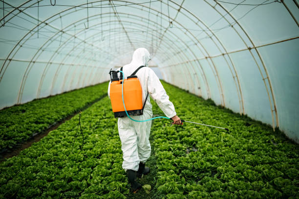 Best Local Pest Control Services  in Irwin, PA