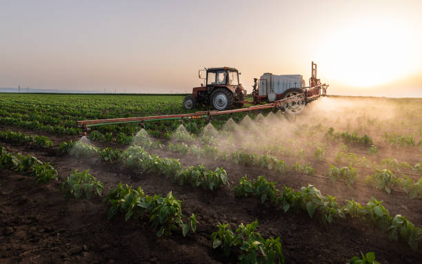 Pest Control Cost in Irwin, PA