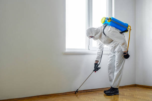 Best Insect Control  in Irwin, PA