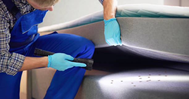 Best Exterminator Services  in Irwin, PA